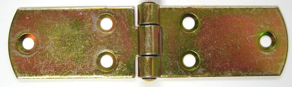Charnière coffre zingué 160x35mm sur carte 22340