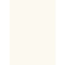 Panneau de particules surfacé mélaminé (PPSM) Eurodekor W980 ST2 - 280x207 cm - ép. 19 mm - Blanc, certifié PEFC 100%